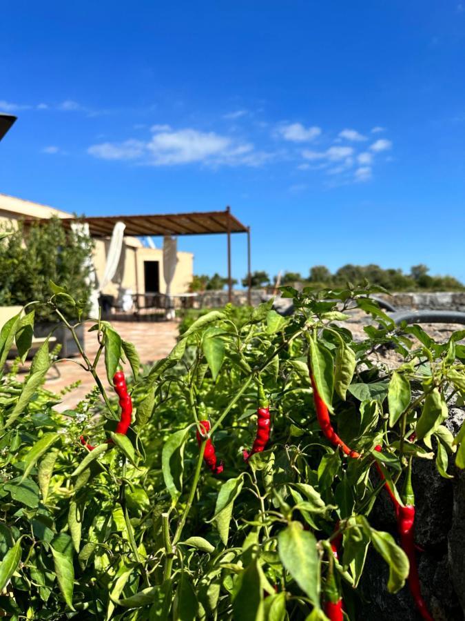 La Cantina Villa Di Campagna Acireale Dış mekan fotoğraf